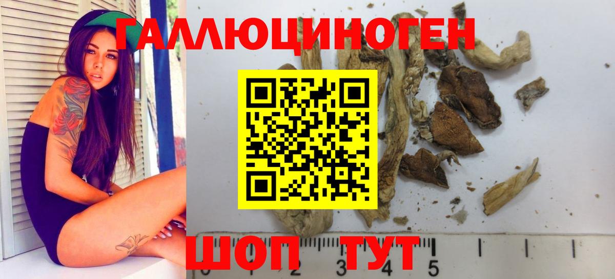 Алексин  Псилоцибиновые грибы Magic Shrooms  Вход с VPN  Псилоцибиновые грибы GOLDEN TEACHER 